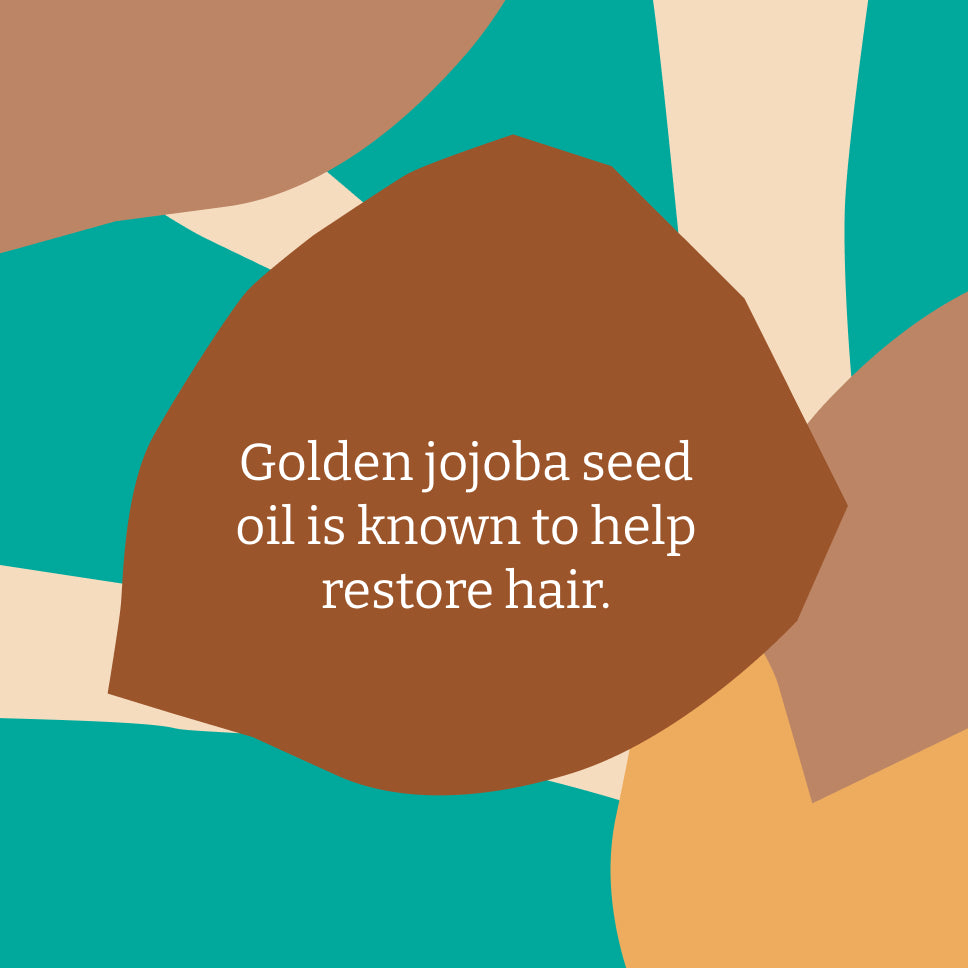 Jojoba shampoo - 400ml