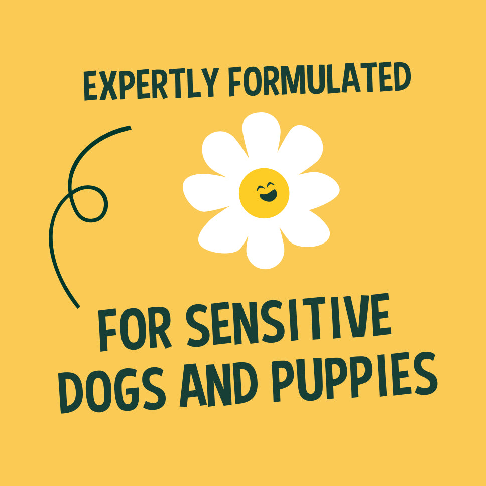 Chamomile dog & puppy shampoo - 5L