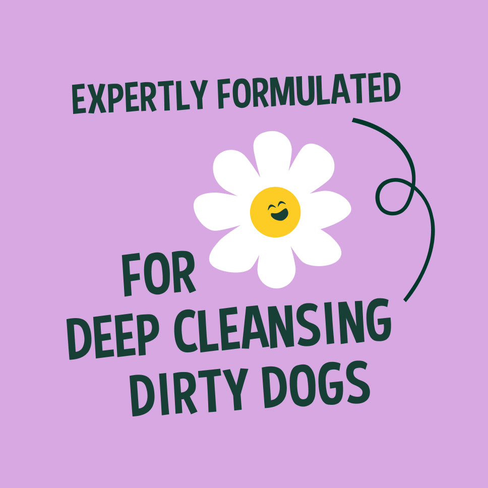 Lavender dog shampoo - 5L