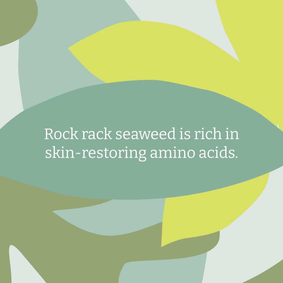 Seaweed & Citrus Shampoo - 5L