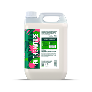 Dragon Fruit conditioner - 5L