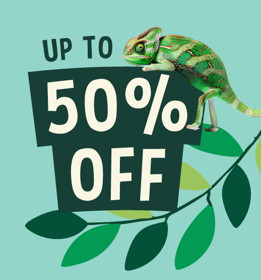 Black Friday 20% off