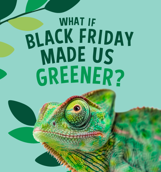 Black Friday 20% off