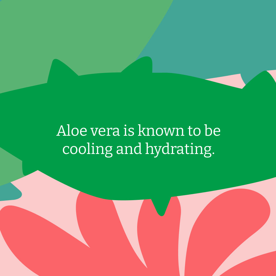 Aloe Vera body wash - 5L